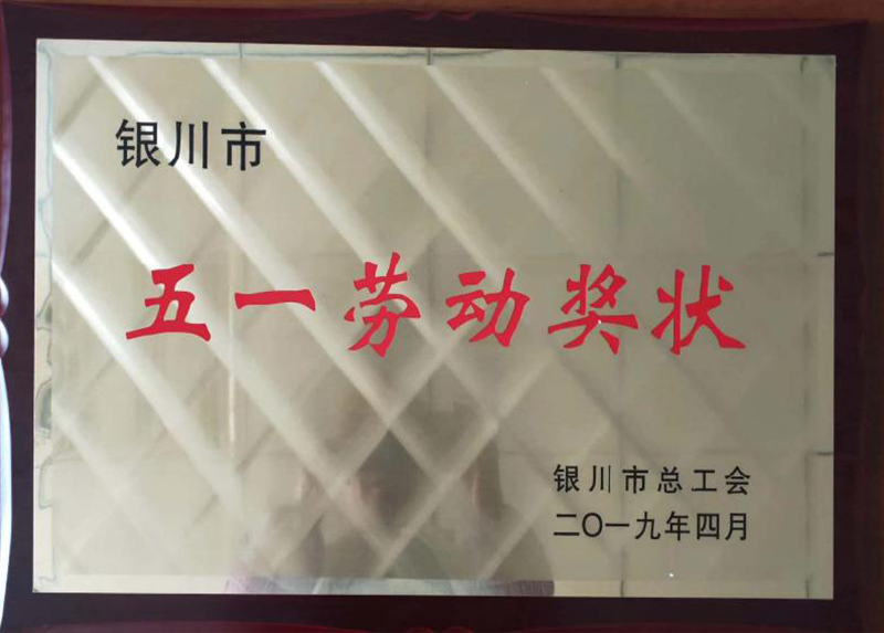 银川市五一劳动奖.png